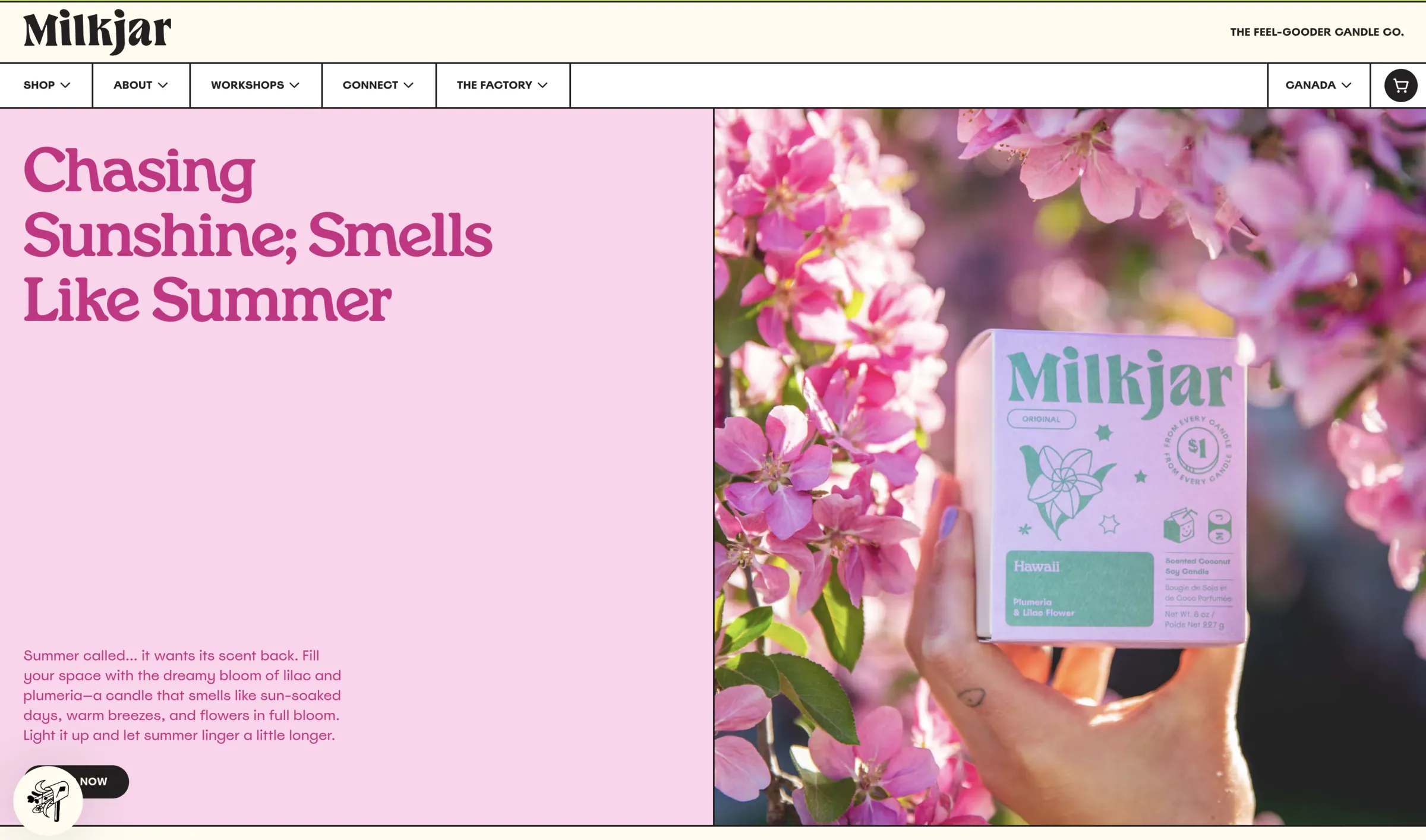 The Milk Jar homepage — “Chasing Sunshine; Smells Like Summer” beside a hand holding the Fleurs carton.